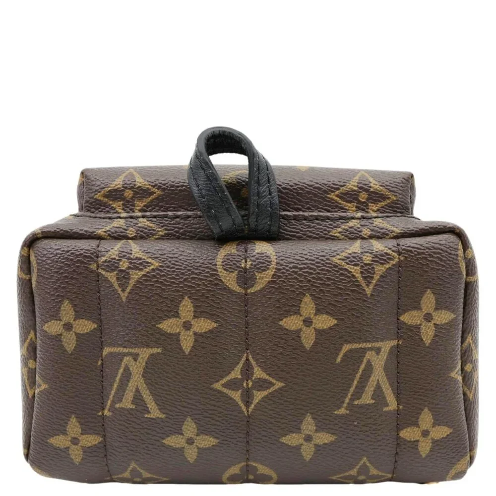 Louis Vuitton  Palm Spring World Tour Monogram Canvas Backpack Brown - Picture 10 of 14